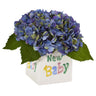 Hydrangea in New Baby Ceramic