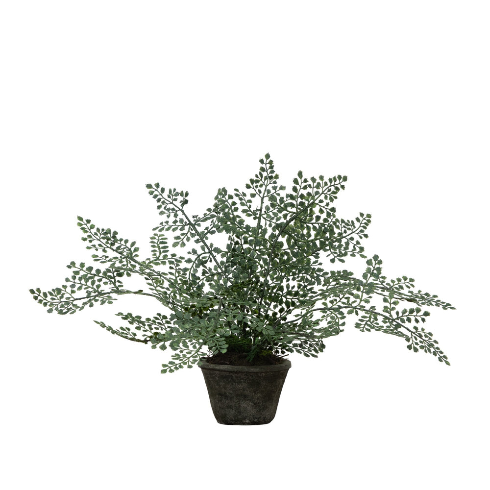 Maiden Hair Artificial Plant in Decorative Planter