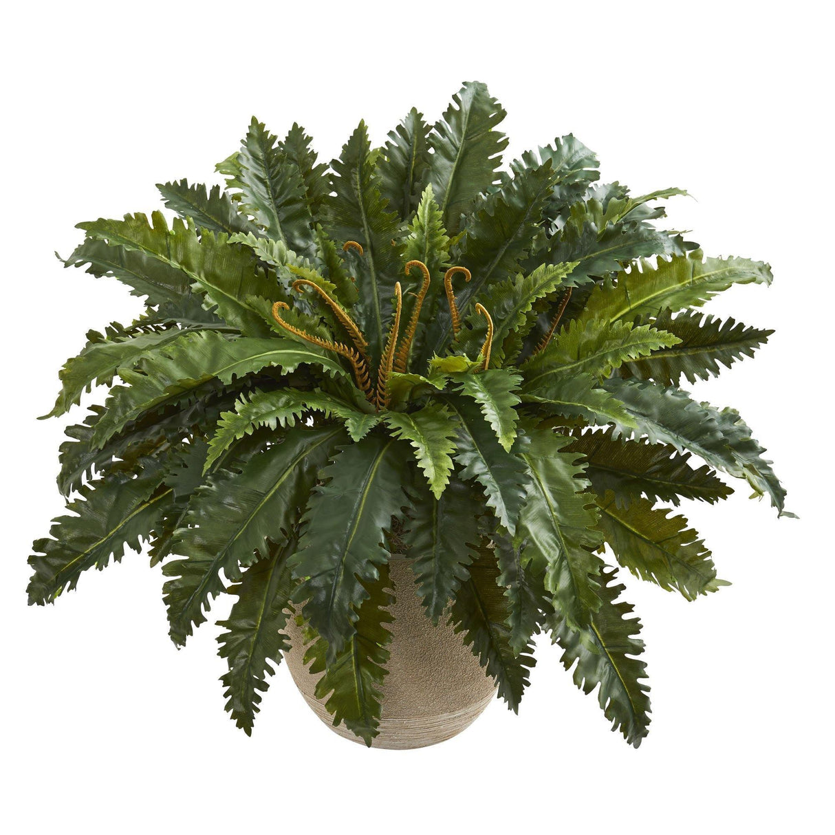 Marginatum Artificial Plant in Sand Colored Planter