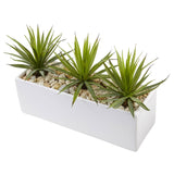 Mini Agave in Rectangular Ceramic