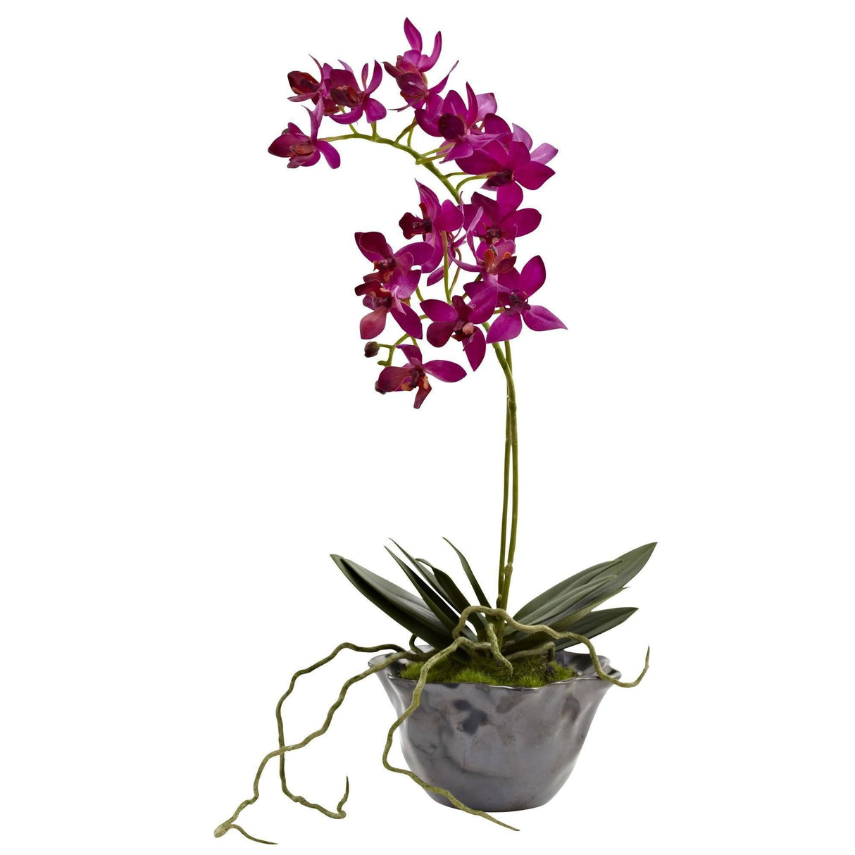 Mini Phal w/Metallic Vase (Set of 2)
