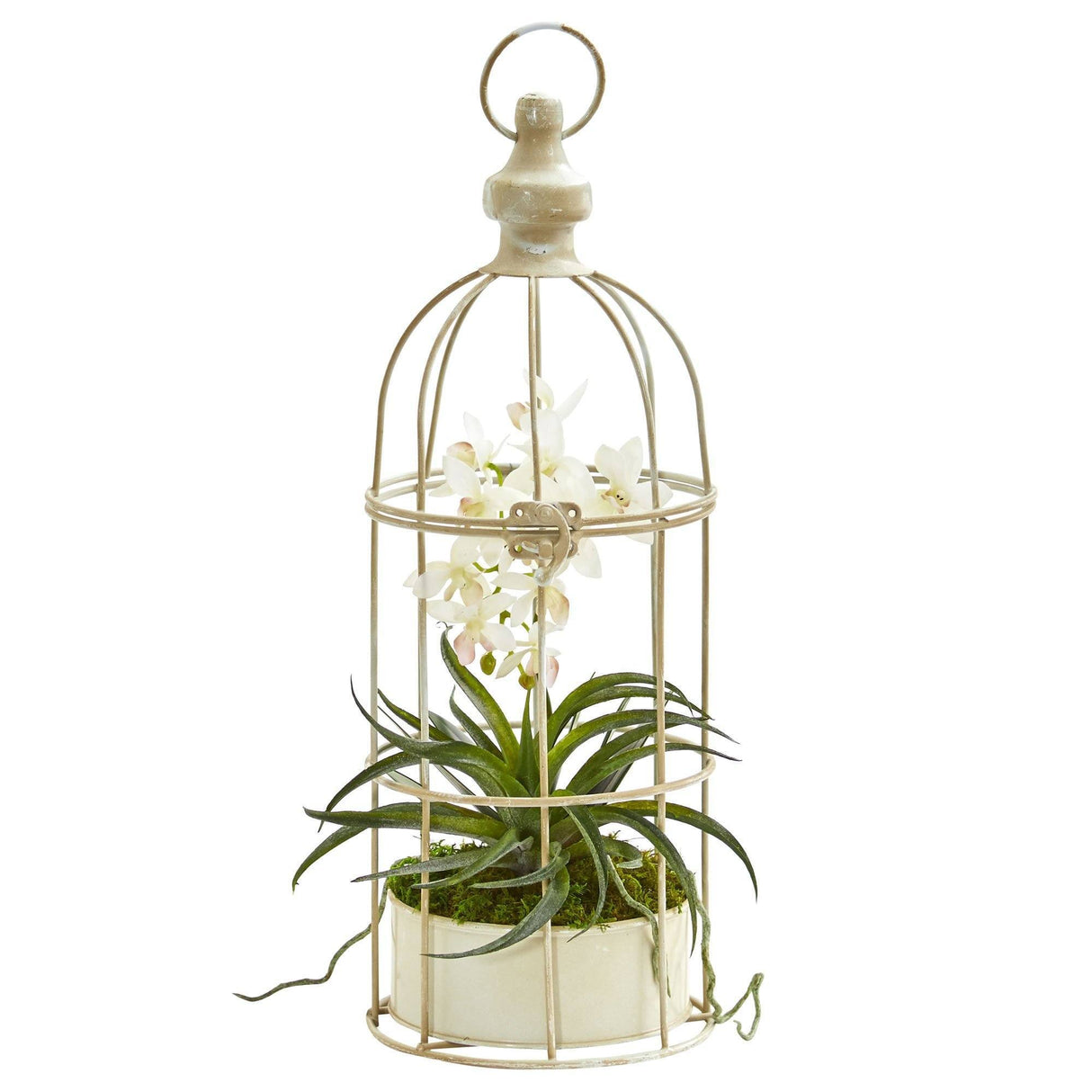 Mini Phalaenopsis Orchid Artificial Arrangement in Bird Cage