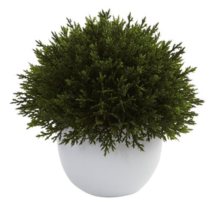 Mixed Cedar Topiary Collection (Set of 3)