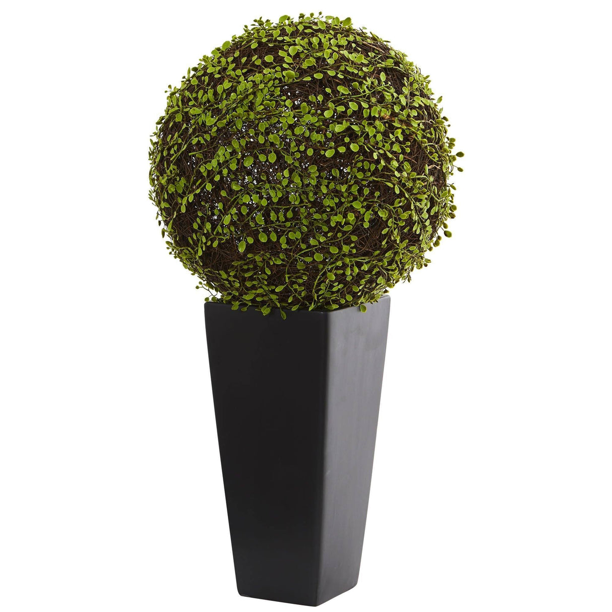 Mohlenbechia Ball Artificial Plant in Black Tower Vase