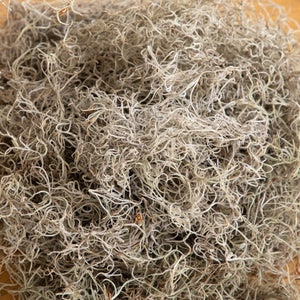 Natural Spanish Moss - 5Lbs