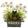 Orchid, Succulent and Maiden Hair Artificial Arrangement