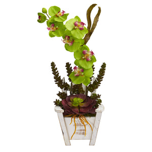 Phalaenopsis Orchid & Succulent Artificial Arrangement in Chair Planter