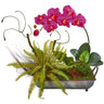 Phelaenopsis Orchid and Fern Artificial Arrangement in Metal Tray