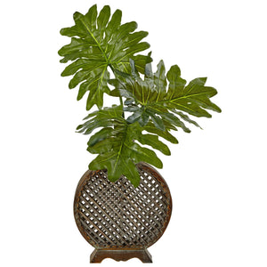 Selloum in Open Weave Vase