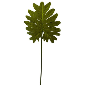 Selloum Philo Single Leaf Stem (Set of 12)