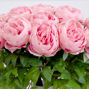 Signature Collection 20” Peony Artificial Arrangement in White  Glass Vase