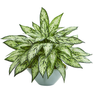 Silver Queen Artificial Plant in Green Vase