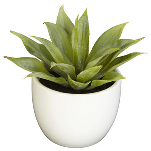 Southwest Artificial Succulent Collection - Set of 3