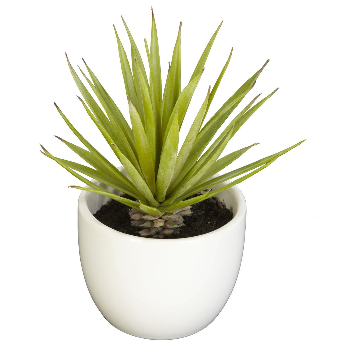 Southwest Artificial Succulent Collection - Set of 3