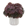 Watermelon Peperomia Artificial Plant in Marble Finished Vase (Real Touch)