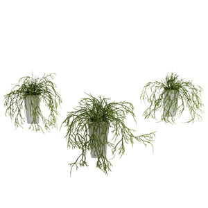 Wild Grass w/White Vase (Set of 3)