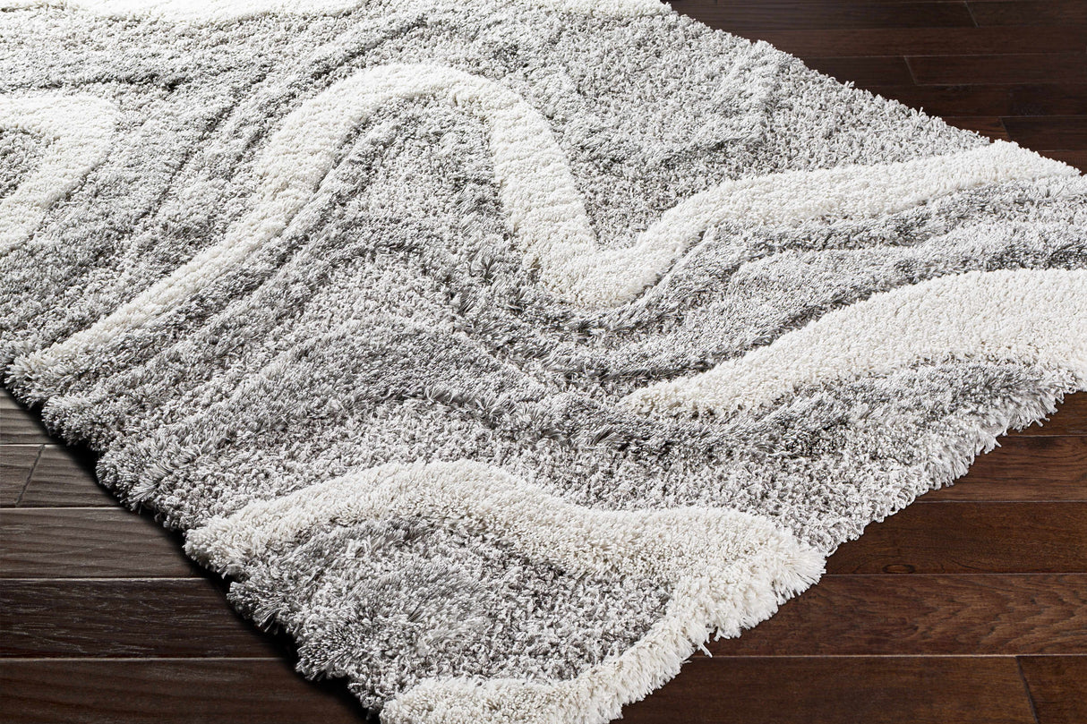 Asfordby Gray Canyon Plush Rug