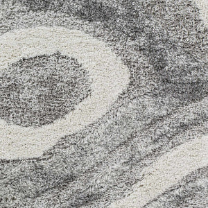 Asfordby Gray Canyon Plush Rug