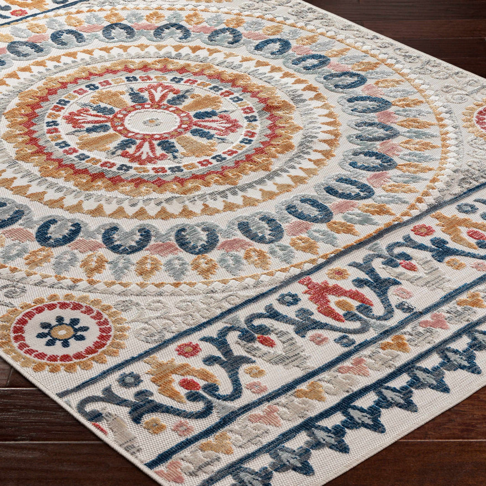 Asis Area Rug - Clearance