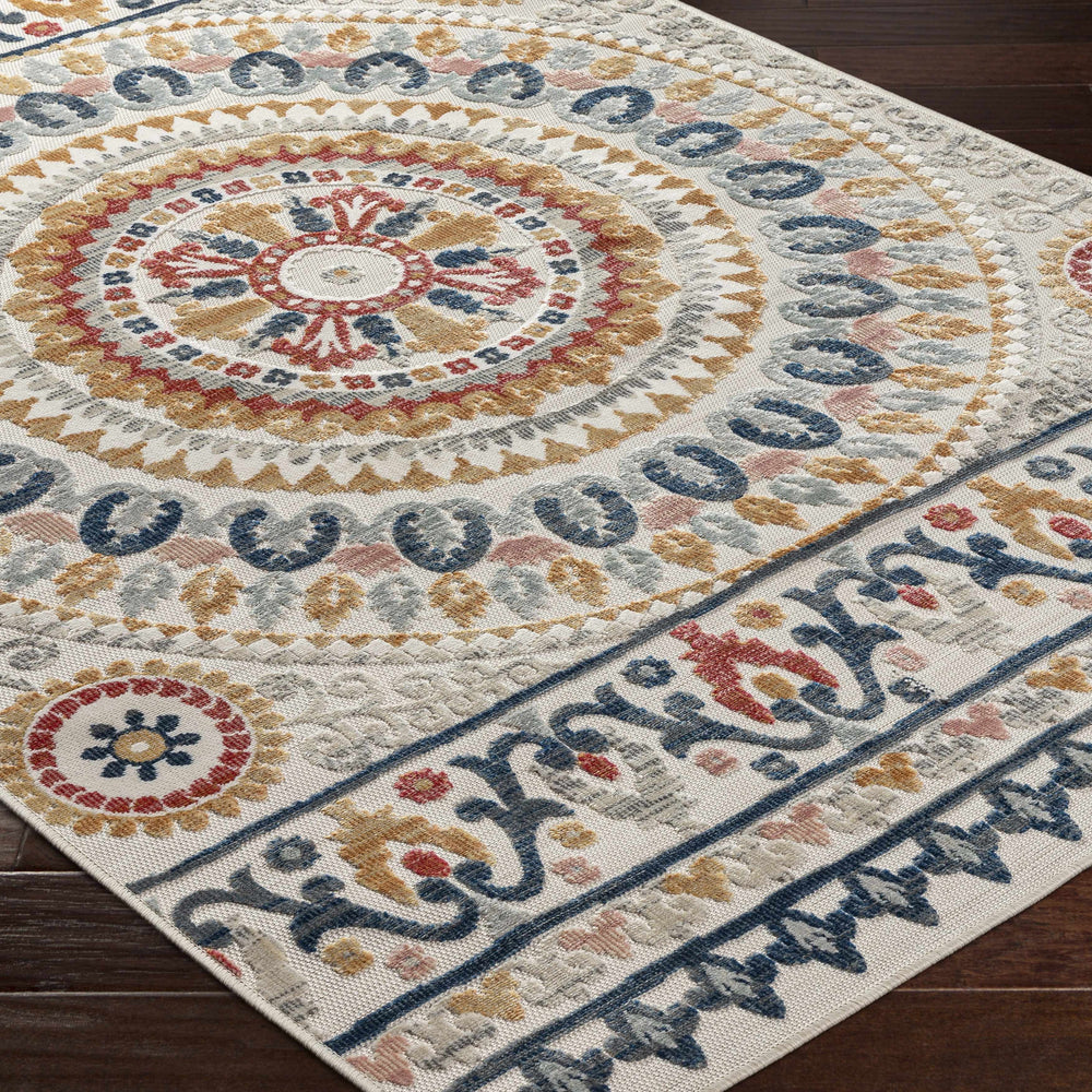Asis Area Rug - Clearance