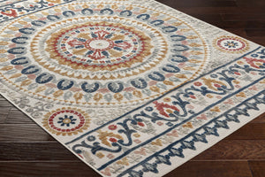 Asis Area Rug - Clearance