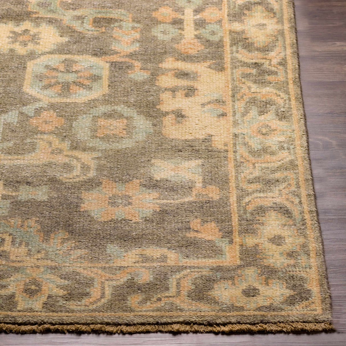 Asotin Hand Knotted Wool Area Rug