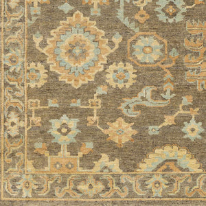 Asotin Hand Knotted Wool Area Rug