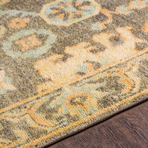 Asotin Hand Knotted Wool Area Rug