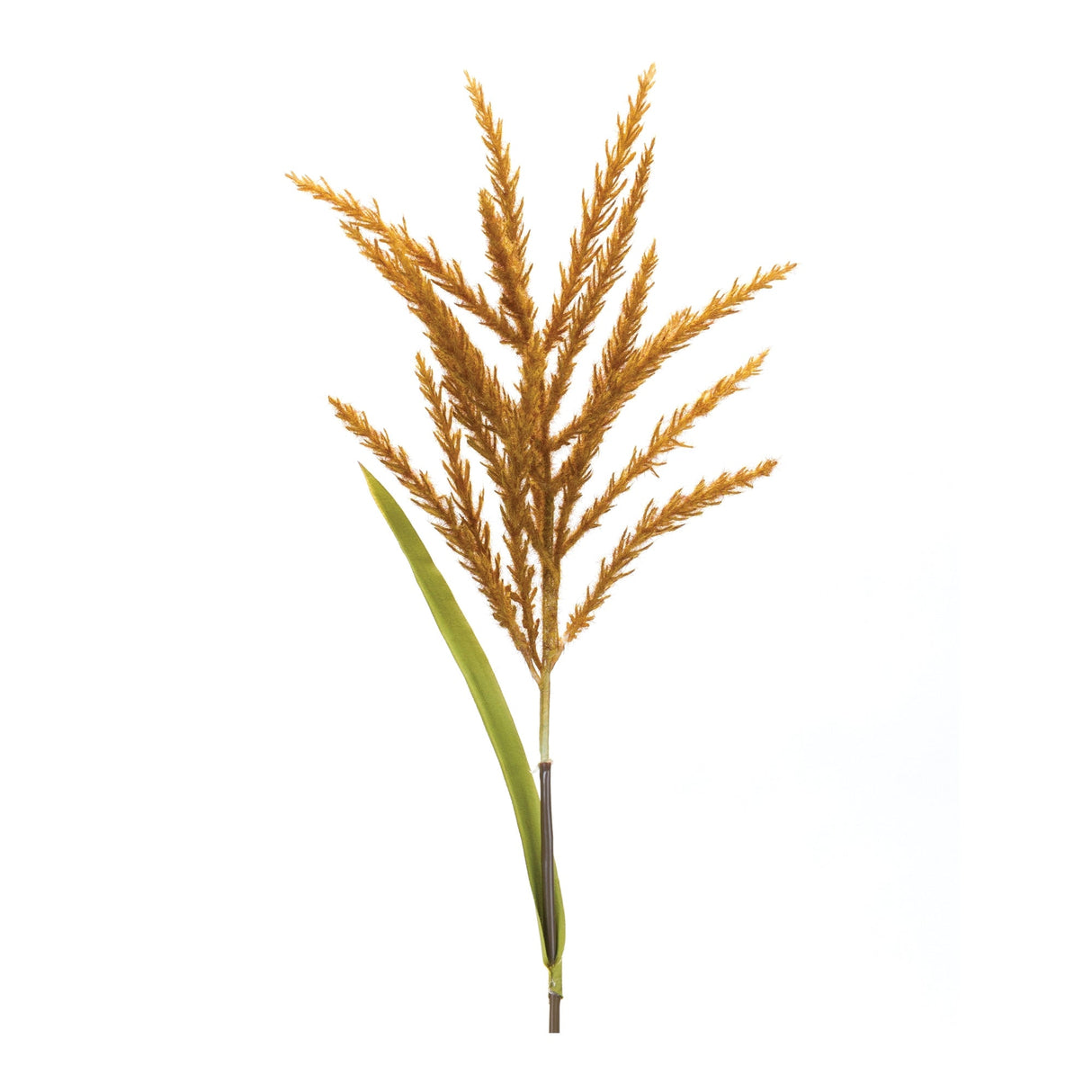 Astilbe stem (set of 12)