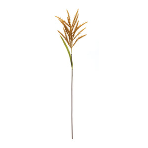 Astilbe stem (set of 12)