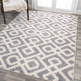 Astrid-Retro-Trellis-High-Low-Area-Rug-Area-Rugs