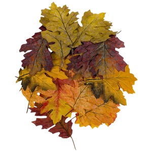 Bag of 36 Faux Harvest Leaves