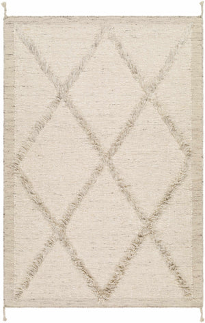 Awen Hand Knotted Wool Area Rug - Clearance