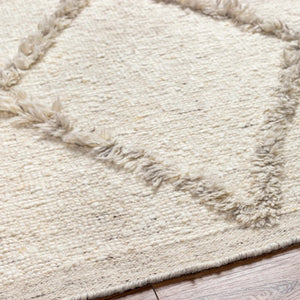 Awen Hand Knotted Wool Area Rug - Clearance