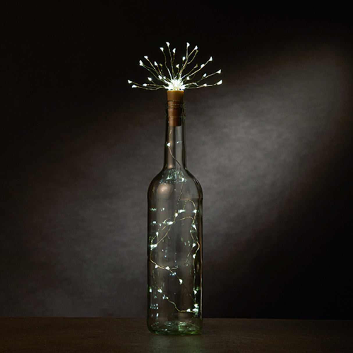 Starlight bottle string lights by twine