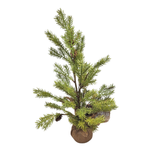 Lush Evergreen Tree - 21 Inch