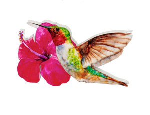 Hummingbird Screen Door Savers -