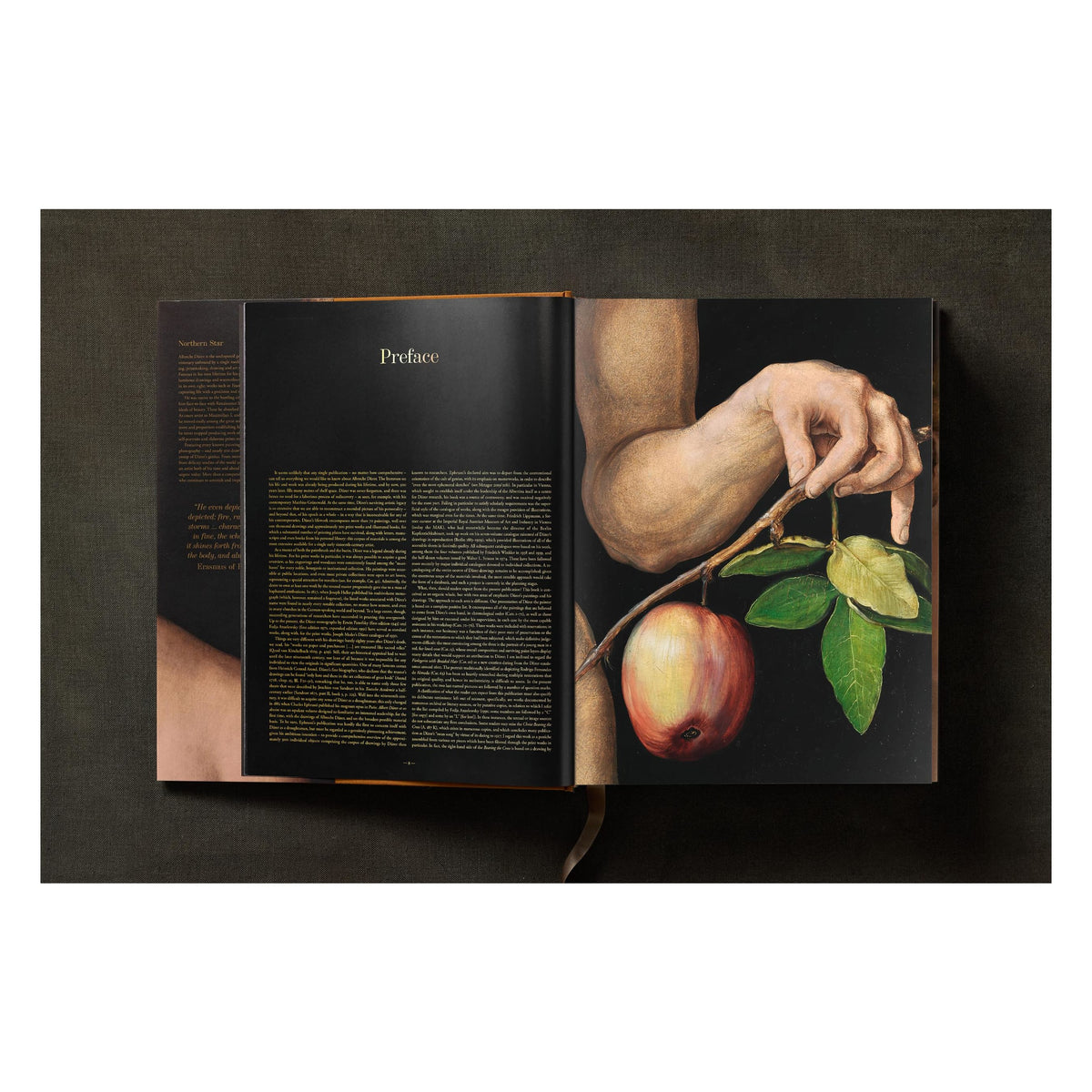 Albrecht Dürer. The Complete Paintings. Selected Drawings and Prints (English)