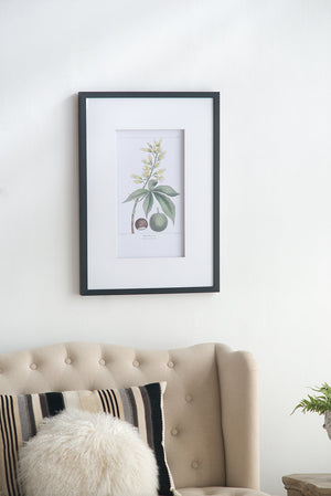 19.7x27.6' Botanical Wall Arts, Set of 2