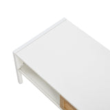 Modern Rattan Coffee Table with Sliding Door