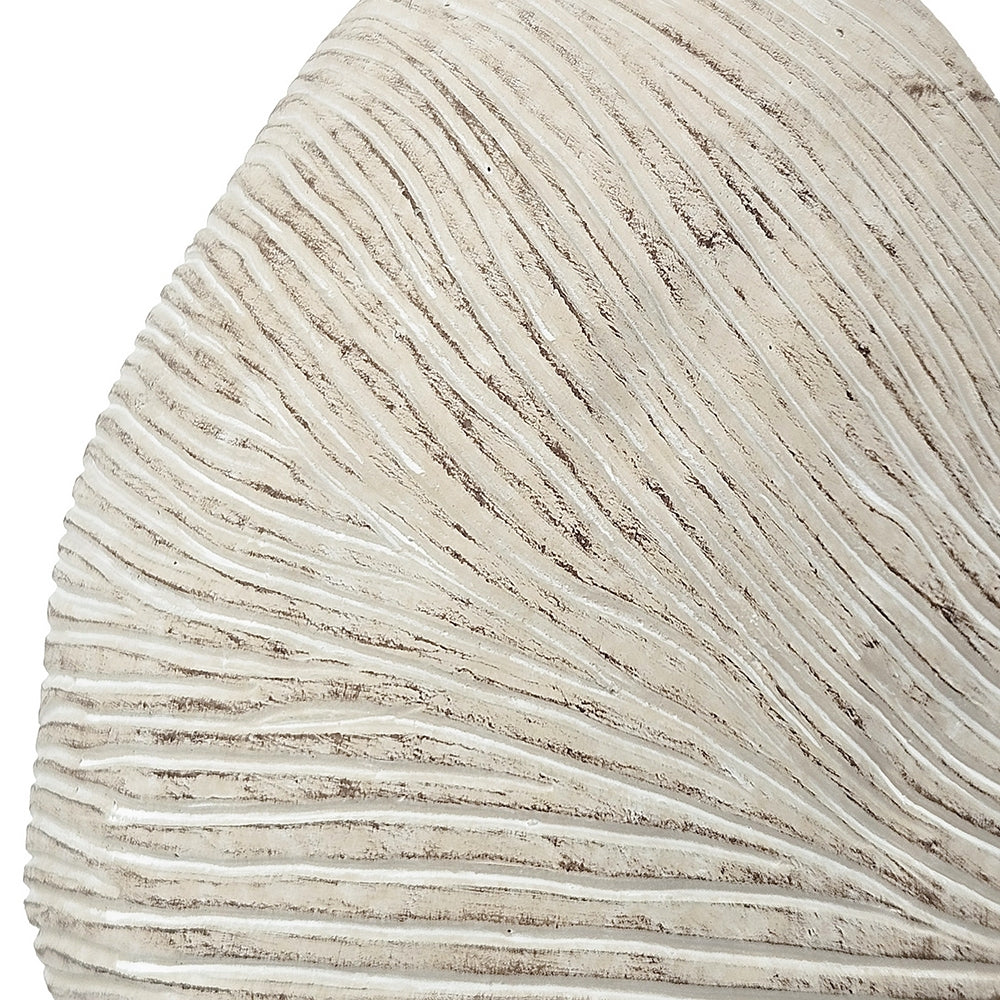 11.5x6.7x7.7 Sand and Cement Nautilus Shell Planter with Textured Beige Finish