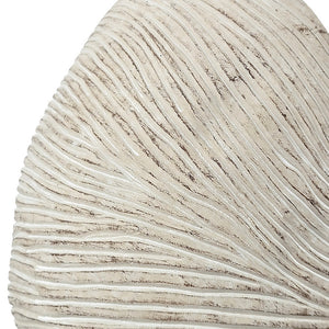 11.5x6.7x7.7 Sand and Cement Nautilus Shell Planter with Textured Beige Finish