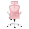 Ergonomic Office Chair with Headrest and Lumbar Support
