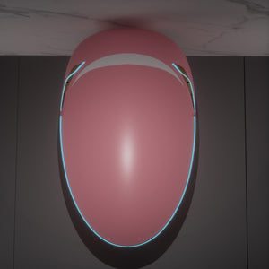 Unique Smart Toilet with Bidet Built-In