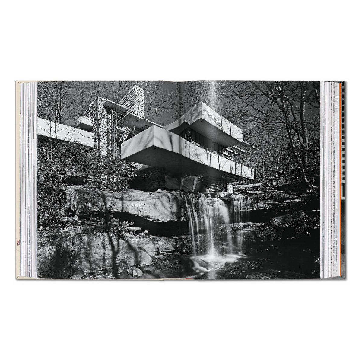Frank Lloyd Wright. 45th Ed. (English)