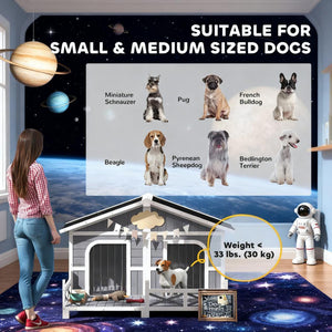 Dog Kennel House Dog House Outdoor