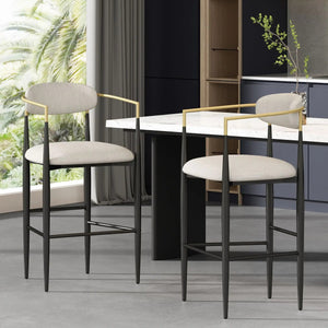 Counter Height Upholstered Barstools (Set of 2)