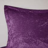 Velvet comforter set - 1  twin/twin xl