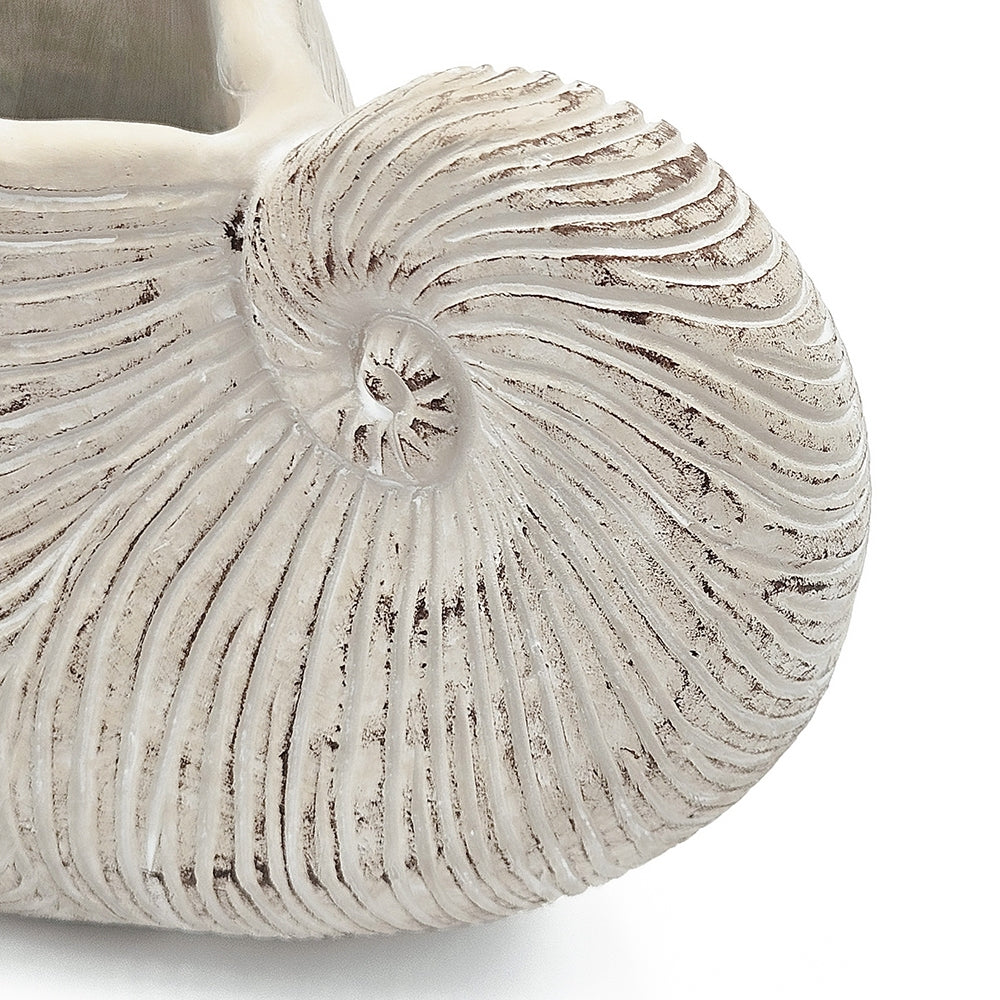 11.5x6.7x7.7 Sand and Cement Nautilus Shell Planter with Textured Beige Finish