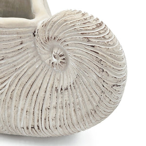 11.5x6.7x7.7 Sand and Cement Nautilus Shell Planter with Textured Beige Finish